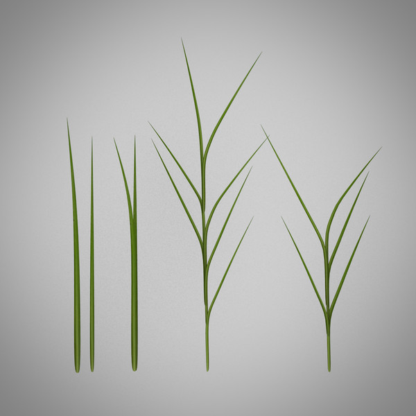 3d model grass - Grass by meerkat1123432